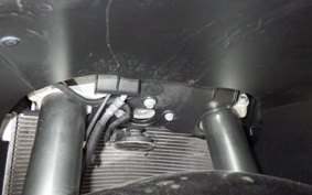 KAWASAKI ZX 1400 NINJA R A 2016