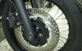 KAWASAKI W800 CAFE 2022 EJ800E