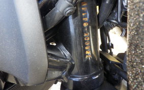 KAWASAKI Z900RS 2025 ZR900K