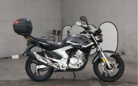 YAMAHA YBR250 PCNL