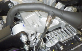 YAMAHA CYGNUSｸﾞﾘﾌｧｽ SEJ4J