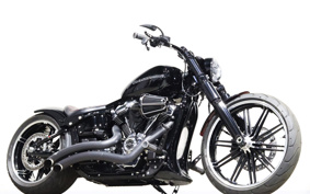 HARLEY FXBRS 2019 YHK