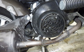 HONDA BENLY 110 JA09