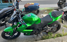 KAWASAKI Z250 ER250C