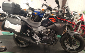 SUZUKI STROM 250 DS11A