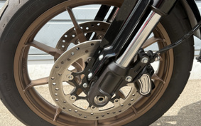 HARLEY FXLRST 2024 YXZ