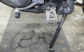HONDA CRF250M 2020 MD44