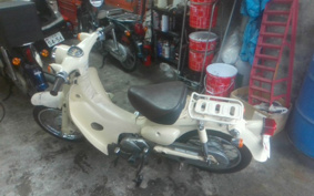 HONDA LITTLE CUB AA01