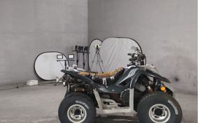 OTHER  BUGGY  ASH  YELLOW RYOU UNKNOWN  ..