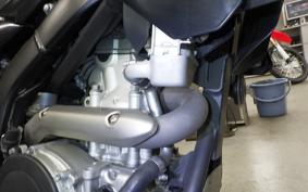 YAMAHA WR250X 2021 DG15J