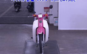 OTHER C110-3