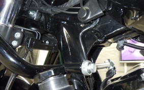 HARLEY FLTRX1920 2024