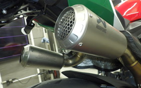 DUCATI 1299 PANIGALE R 2017