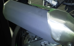 KAWASAKI NINJA 400 2024 EX400L