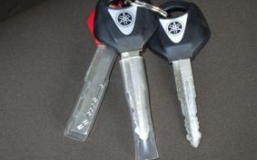 YAMAHA XSR900 2025 RN96J