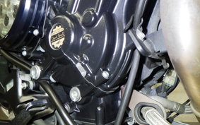 MV AGUSTA DS800RR SCS 2022