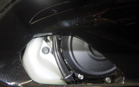 YAMAHA YZF-R15 2023 RG86J