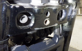 HARLEY FXBB1750 2019