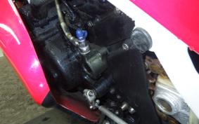 DUCATI 851 STRADA 1991