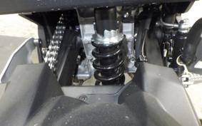 KAWASAKI Z250 Gen.2 2024 EX250Y