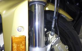 BMW R1250RS 2021