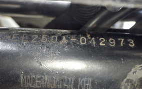 KAWASAKI ELIMINATOR 250 LX EL250A