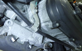 HONDA ZOOMER 2017 AF58