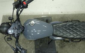 OTHER MUTT ヒルツ250