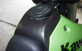 KAWASAKI KLX250 Gen.2 LX250S