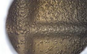 KAWASAKI ZX 10 NINJA 1988 ZXT00B