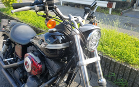 HARLEY FXDL 100th 2003 GDV