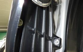 TRIUMPH TF250-E 2014