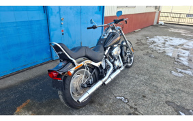 HARLEY FXSTC1340 2010 JL5