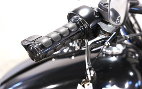 HARLEY FLS 2013 JR5