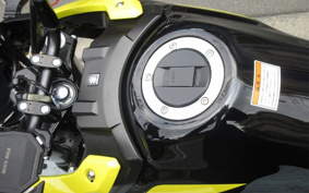 SUZUKI STROM 250ABS DS11A