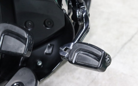 HARLEY FLHXS 2021 KRP