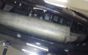 OTHER +ﾒｶﾞﾘ250R 2023