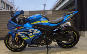 SUZUKI GSX-R1000R 2017 DM11G