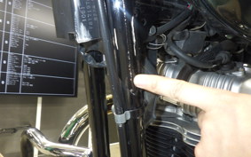 KAWASAKI W650 2008 EJ650A