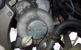 KYMCO XCITING 250