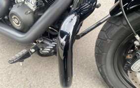 HARLEY FXFBS 2018 YLK