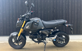 HONDA GROM JC92