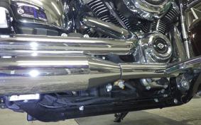HARLEY FLDE 1750 2019