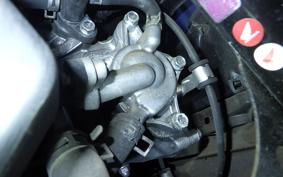 HONDA TACT-4ﾍﾞｰｼｯｸ AF79