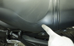 TRIUMPH TRIDENT 660 2021