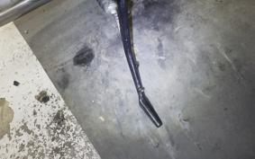 TRIUMPH TRIUMPH THUNDERBIRD900 1995