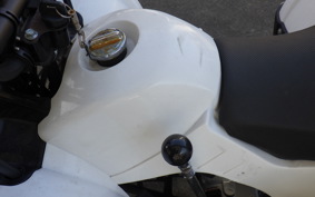 OTHER +UNREGISTERED MODEL by BDS50