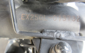 KAWASAKI NINJA 250 EX250L