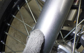 KAWASAKI KLX230S 2006 LX232A