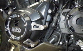 KAWASAKI Z1000 Gen.5 2019 ZXT00W